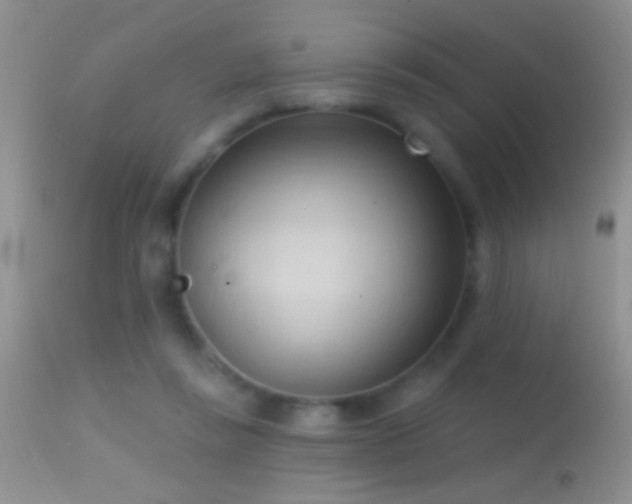 X0000114630355200910201425