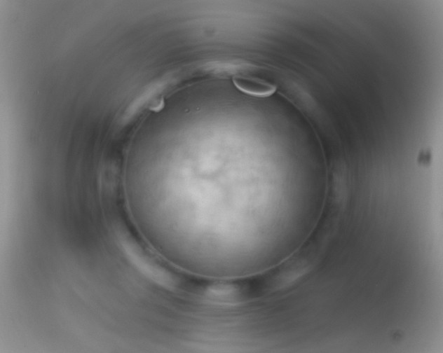 X0000114630357200910201425