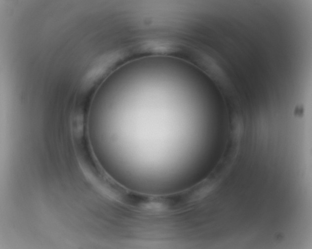 X0000114630358200910201425