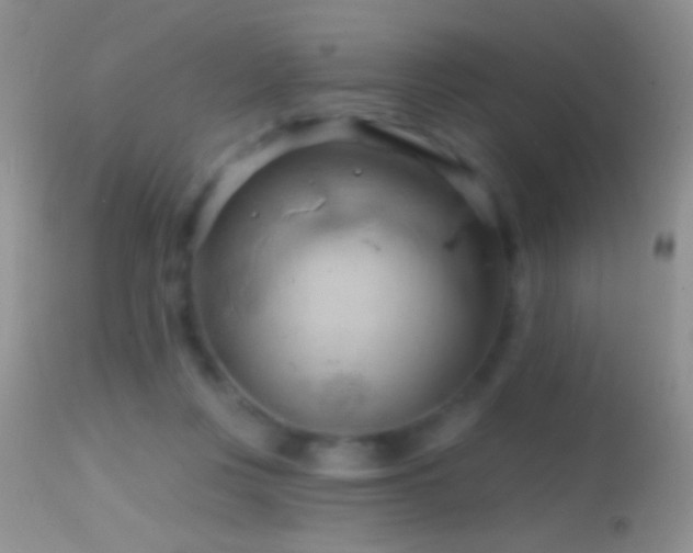 X0000114630359200910201425