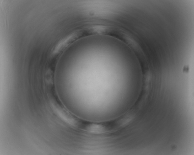 X0000114630361200910201425