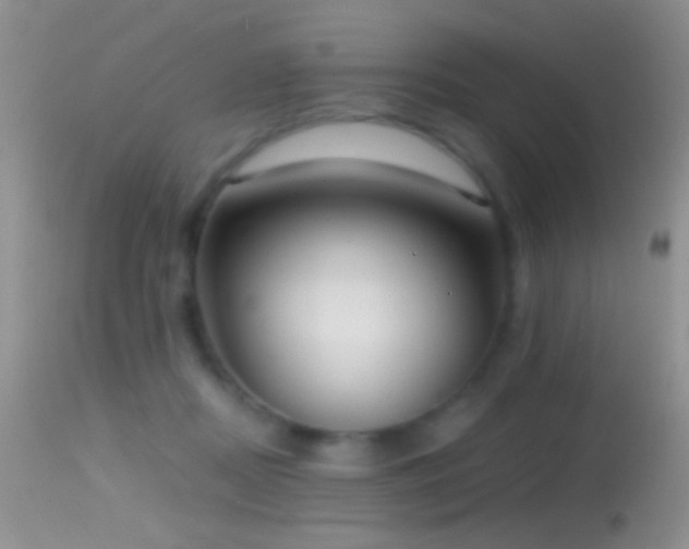 X0000114630362200910201425