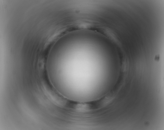 X0000114630363200910201425