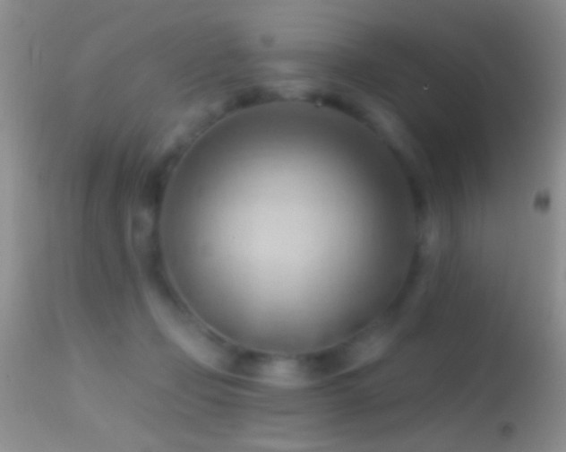 X0000114630365200910201425