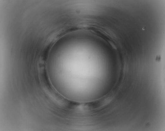 X0000114630366200910201425