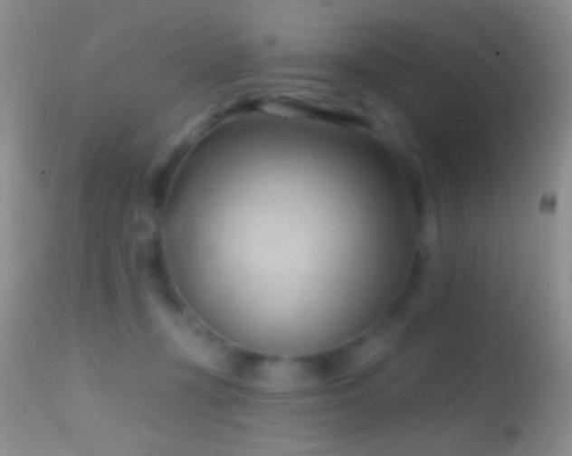 X0000114630367200910201425