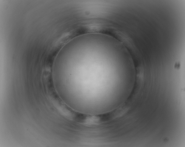 X0000114630369200910201425