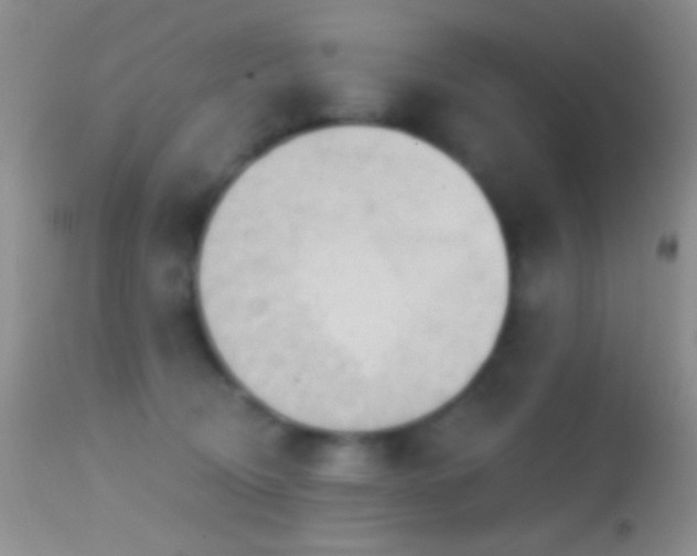 X0000114630370200910201425