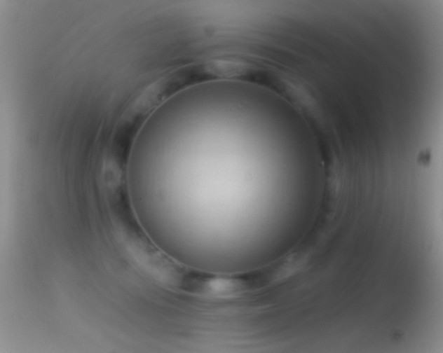 X0000114630371200910201425