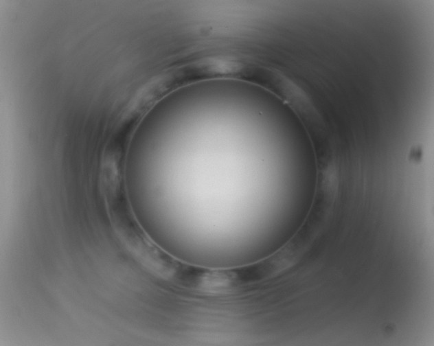 X0000114630373200910201425