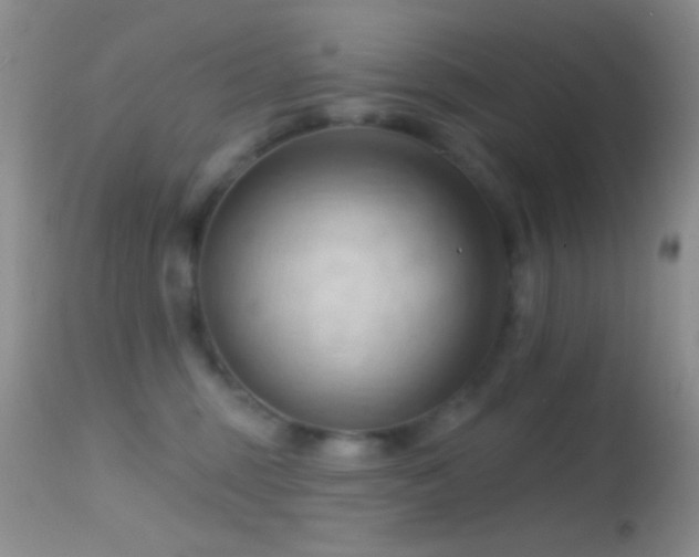 X0000114630375200910201425