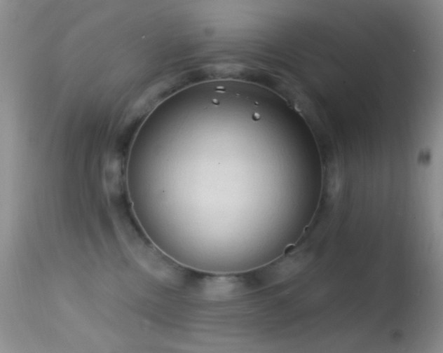 X0000114630378200910201425