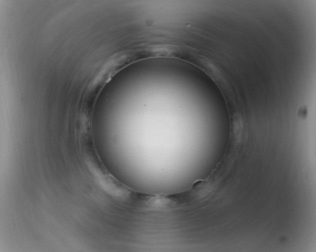 X0000114630379200910201425