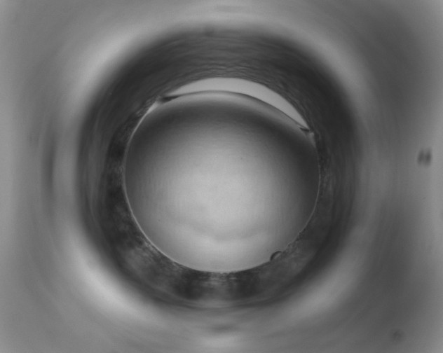 X0000114630383200910201425