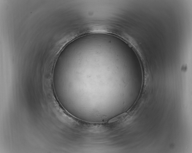 X0000114630385200910201425