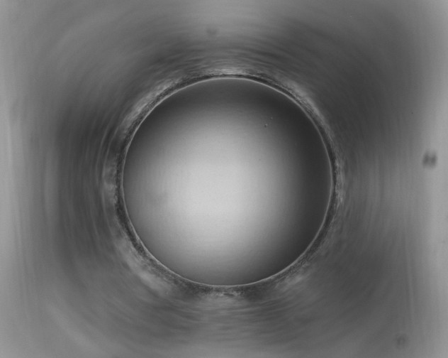 X0000114630386200910201425