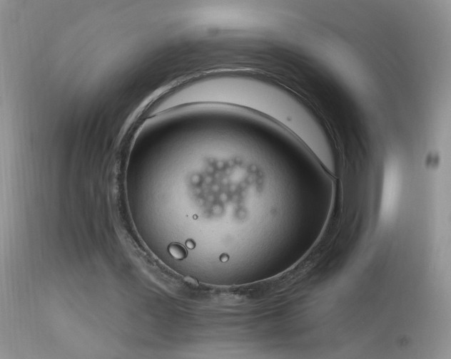 X0000114630387200910201425