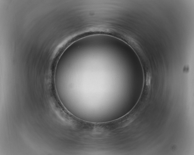 X0000114630388200910201424