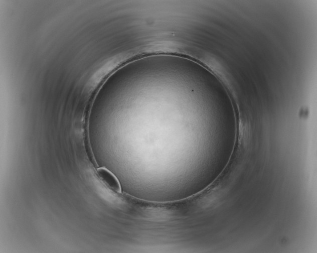 X0000114630389200910201424