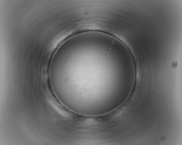 X0000114630390200910201424