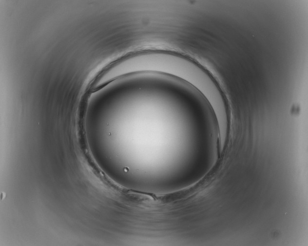 X0000114630391200910201424