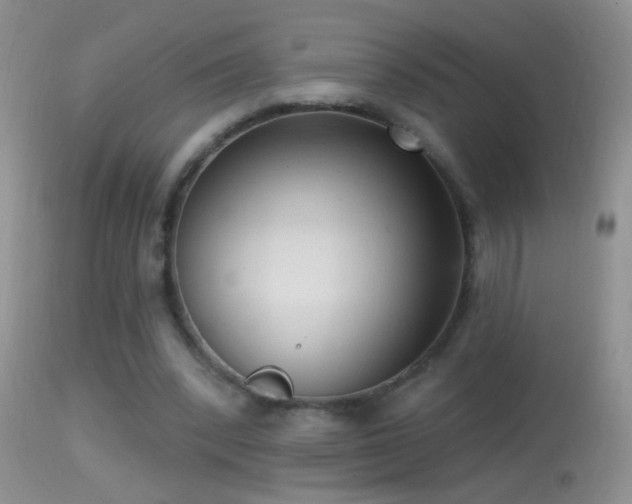 X0000114630392200910201424