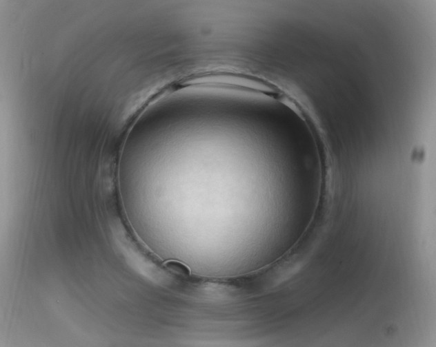 X0000114630393200910201424