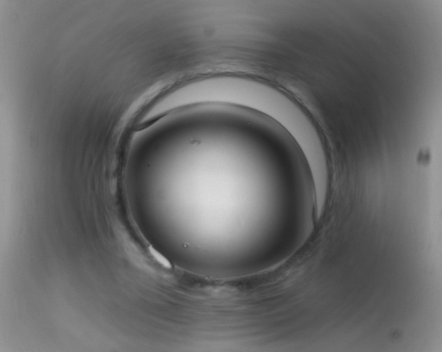 X0000114630395200910201424