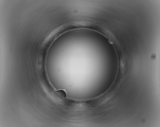 X0000114630396200910201424