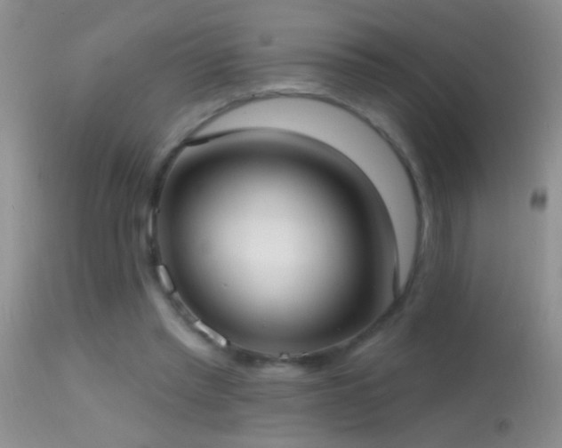 X0000114630397200910201424