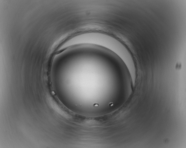 X0000114630399200910201424