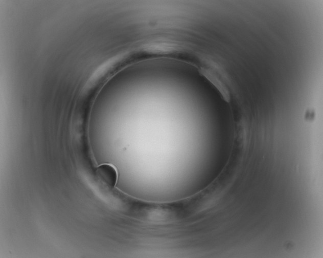 X0000114630400200910201424