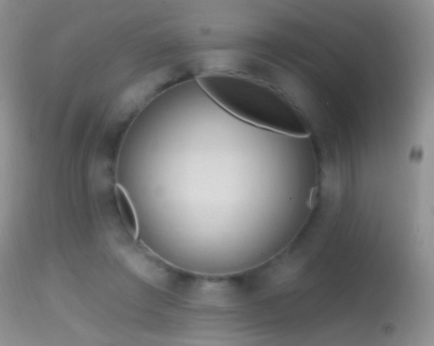 X0000114630401200910201424