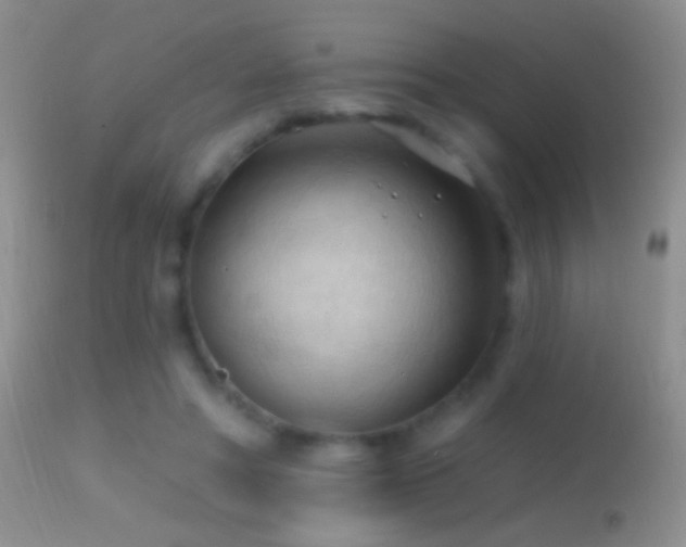 X0000114630402200910201424