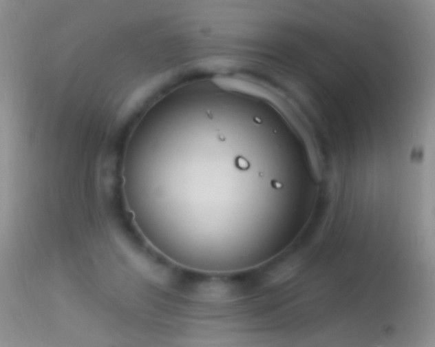 X0000114630404200910201424