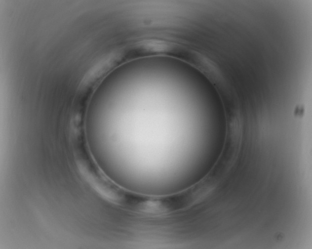 X0000114630406200910201424