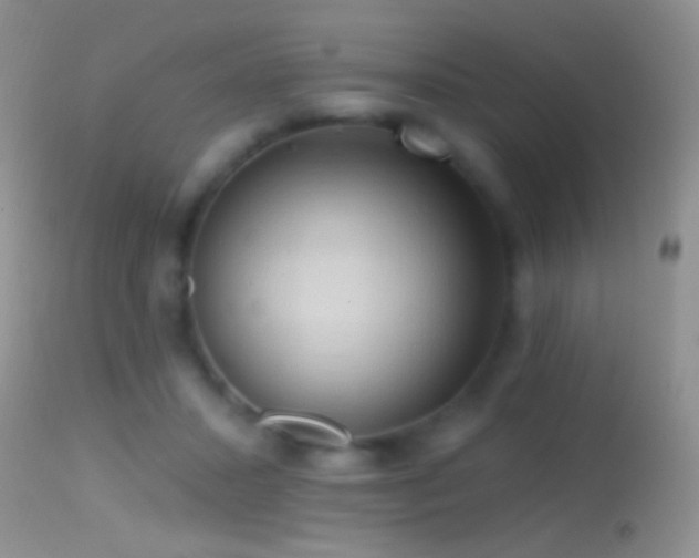 X0000114630407200910201424