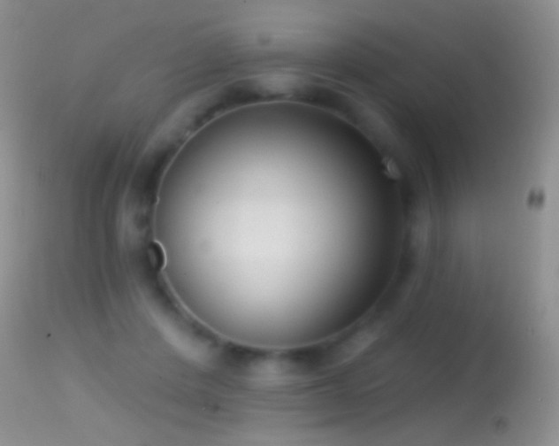 X0000114630408200910201424