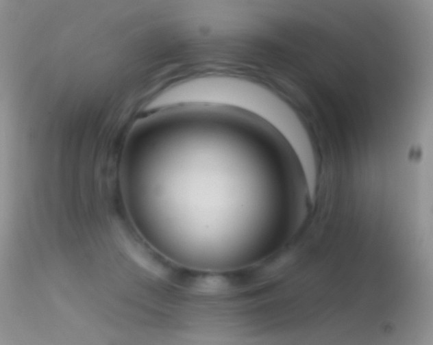 X0000114630409200910201424