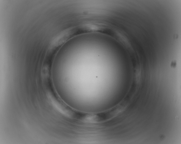 X0000114630410200910201424