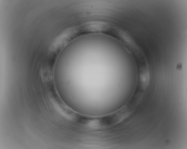 X0000114630411200910201424