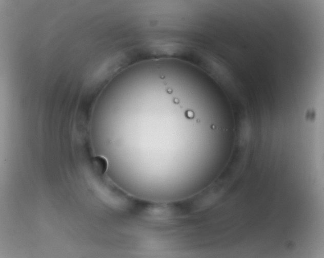 X0000114630414200910201424