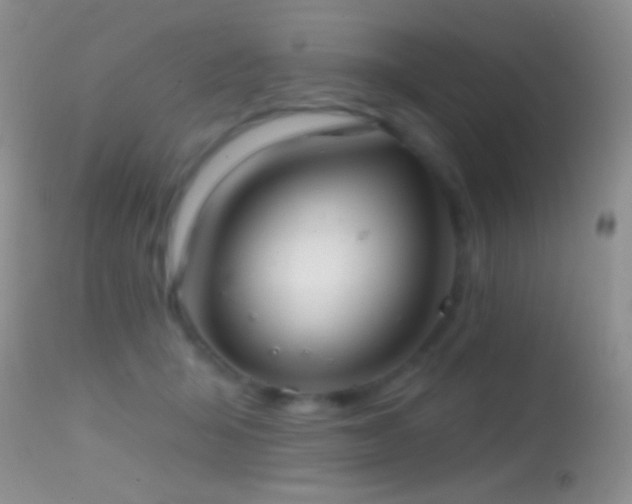 X0000114630415200910201424