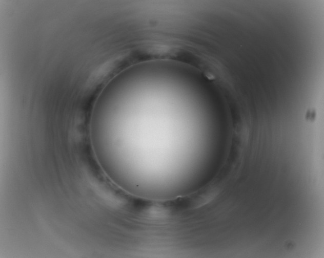 X0000114630416200910201424