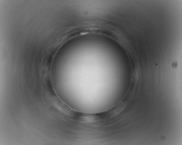 X0000114630417200910201424