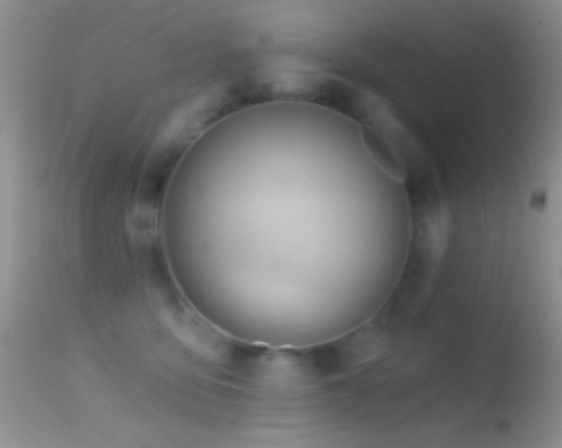 X0000114630419200910201424