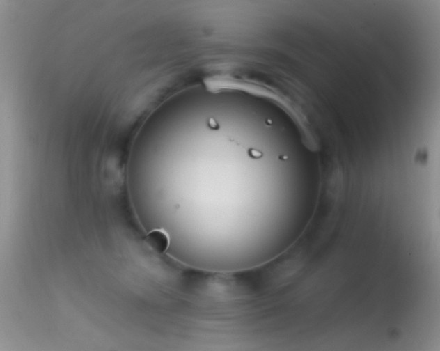 X0000114630420200910201424