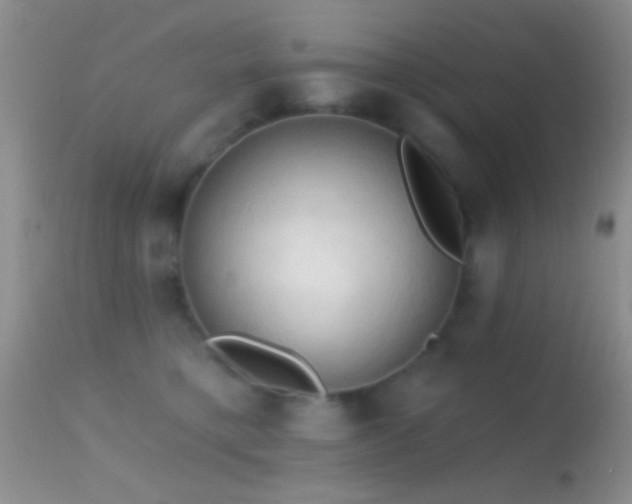 X0000114630421200910201424