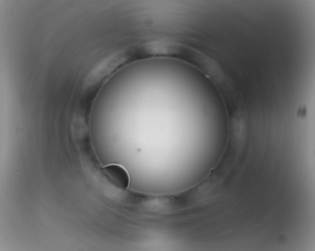 X0000114630422200910201424