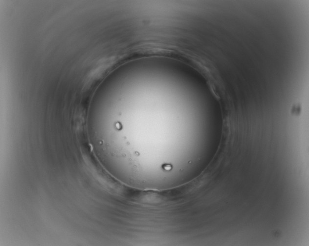 X0000114630423200910201424